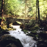 Waterfall, Giessbach Switzerland